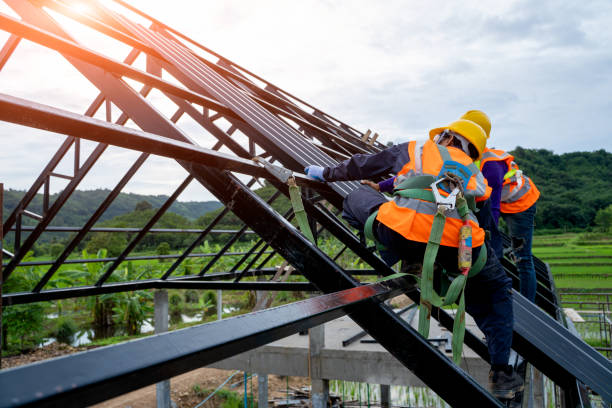 Roof Gutter Cleaning in Manton, MI