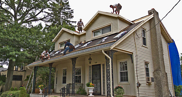 Best New Roof Installation  in Manton, MI