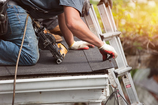 Best Roof Repair Services  in Manton, MI
