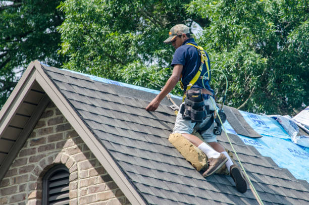 Best Roof Restoration Services  in Manton, MI
