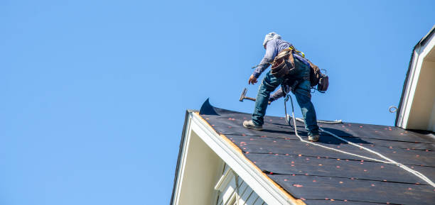 Best Flat Roof Repair Services  in Manton, MI